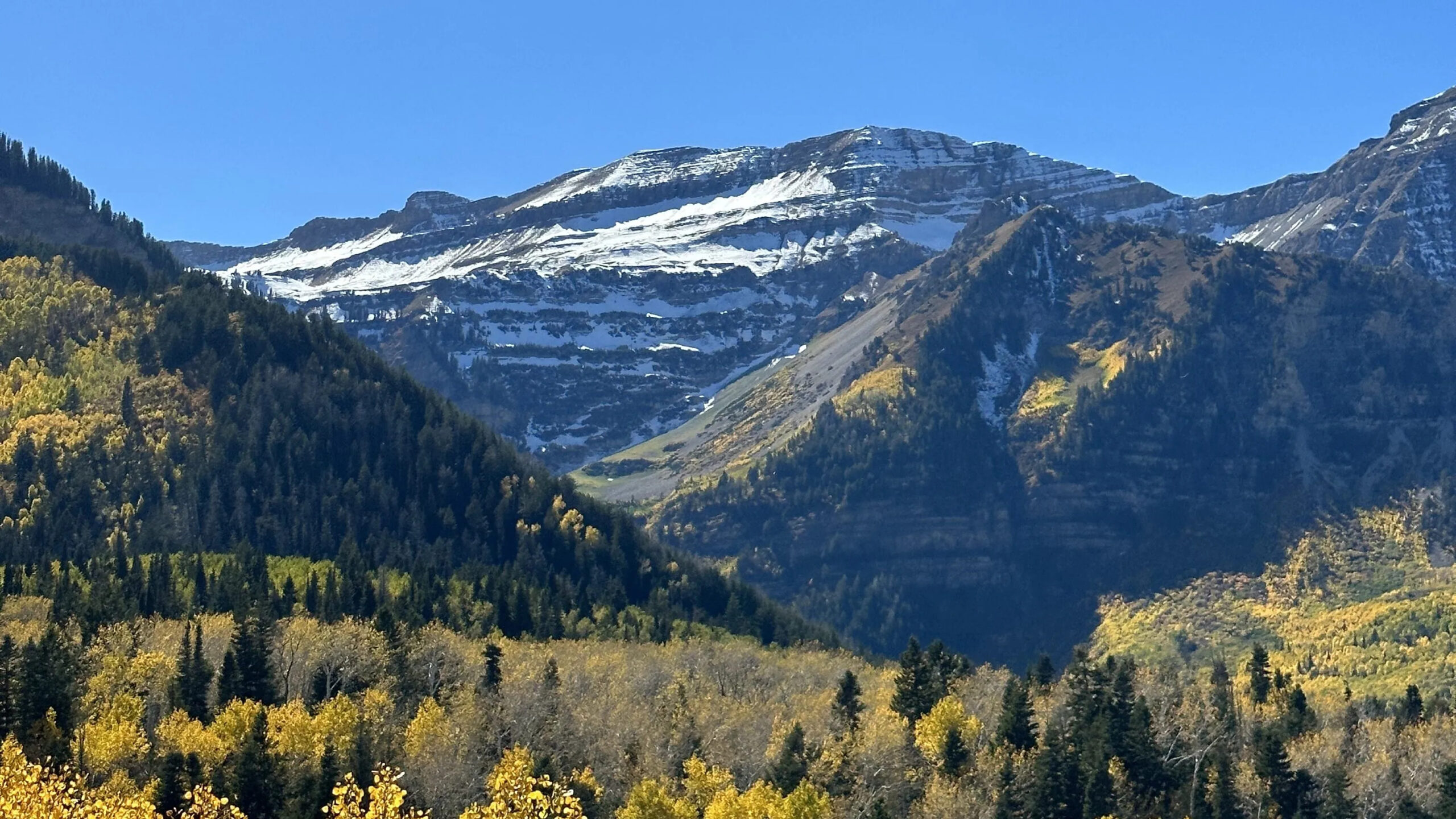 mountain range in back, bright blue sky, green trees in front